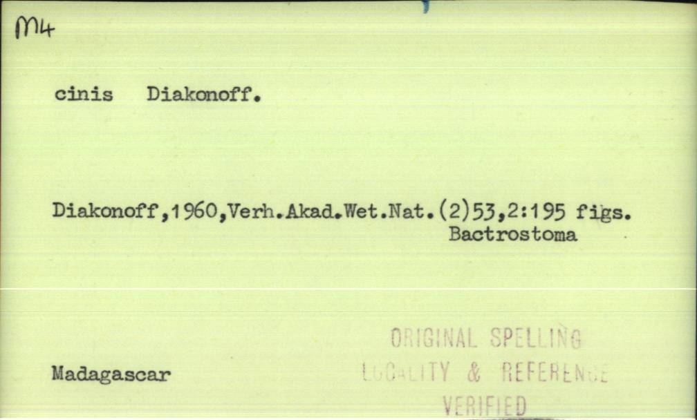 front of card